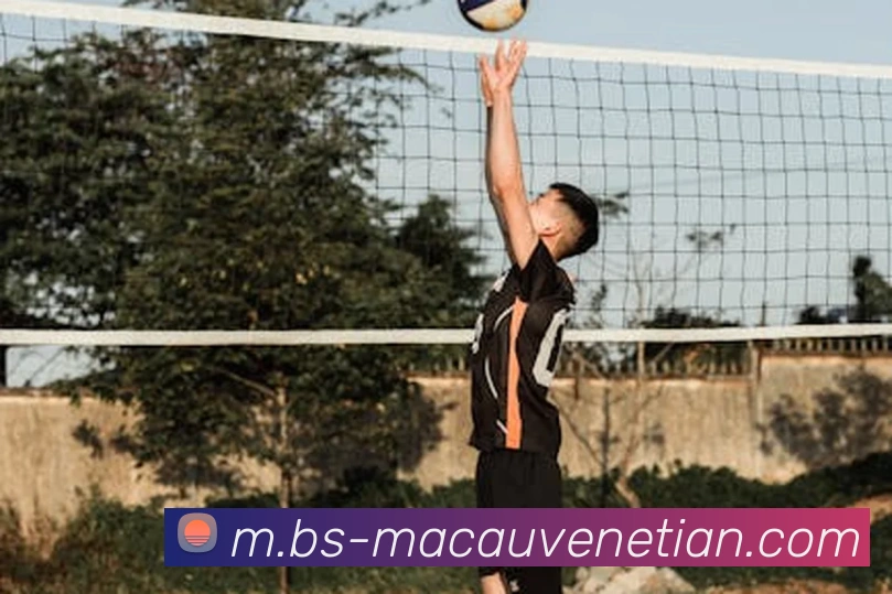 威尼斯人官网APP 封面图